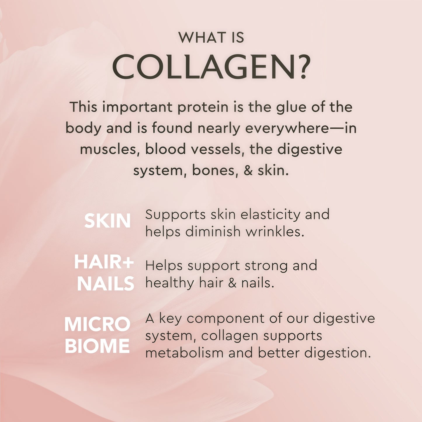 Alaya Multi Collagen Powder Supplement 40 Servings